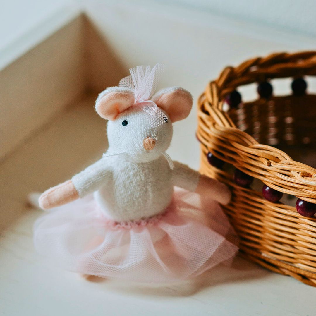 Ella en het Theater Pakket