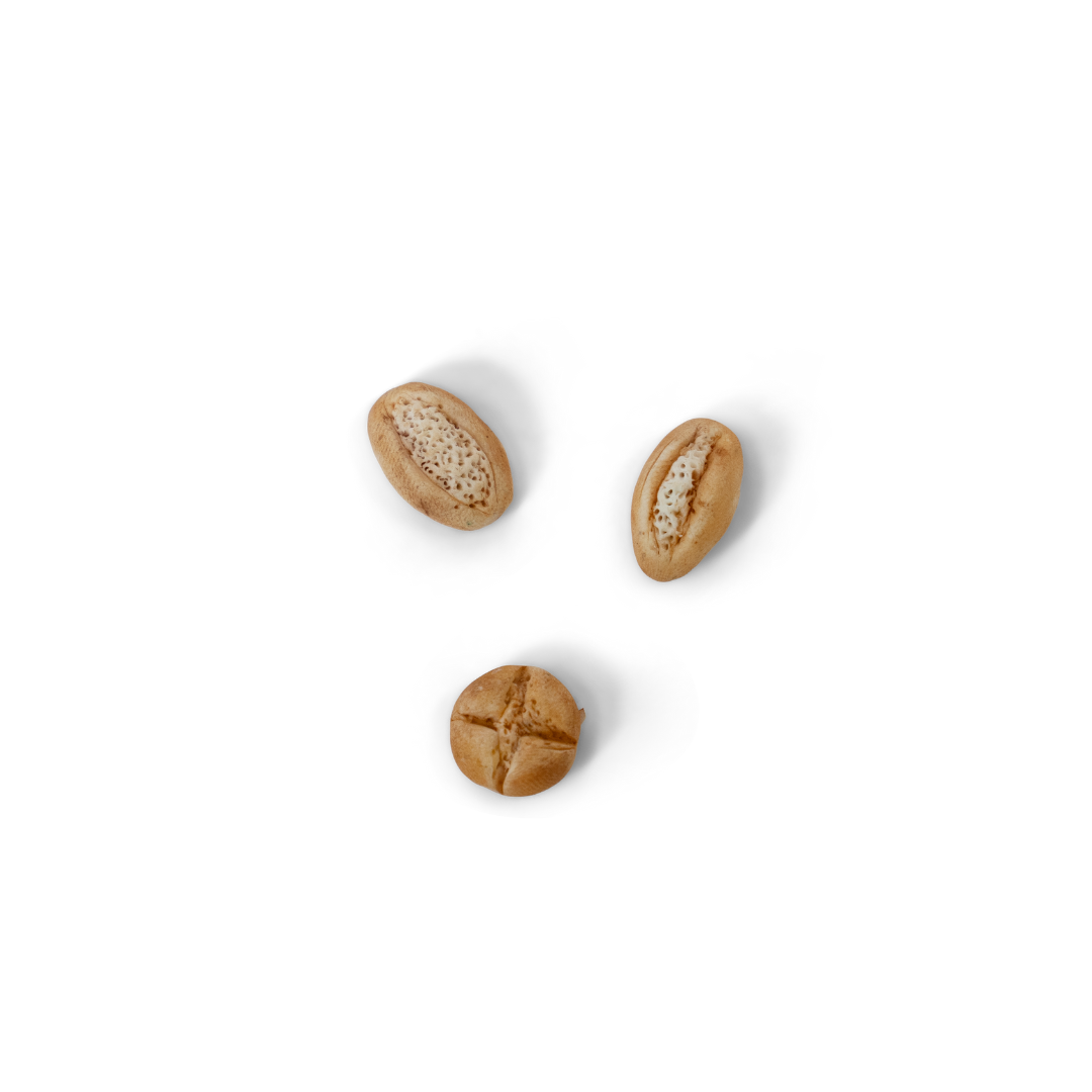 Polymer Clay - Set of 12 basic colors