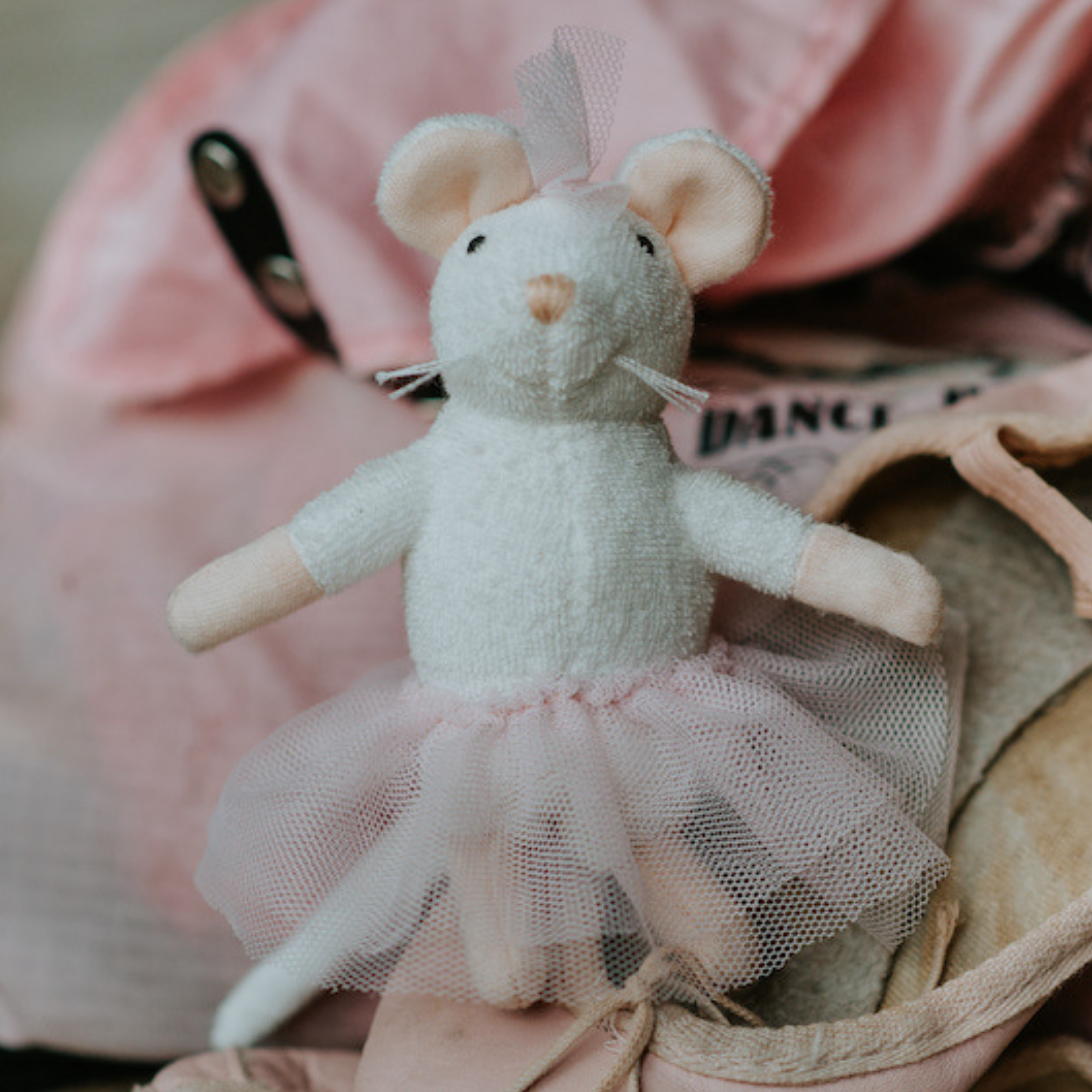 Set To Go – Chambre de Ballet & Peluche Ella