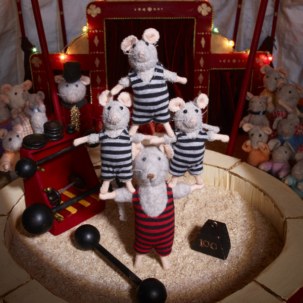 Het circus (deel 3)