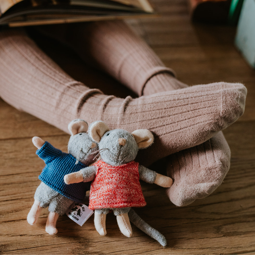 Coffret: Découvre la Maison des Souris