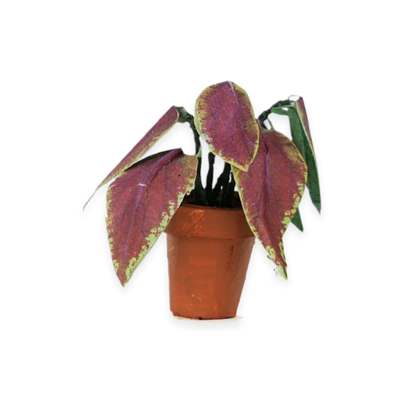 Découpes pour une Maison des Souris