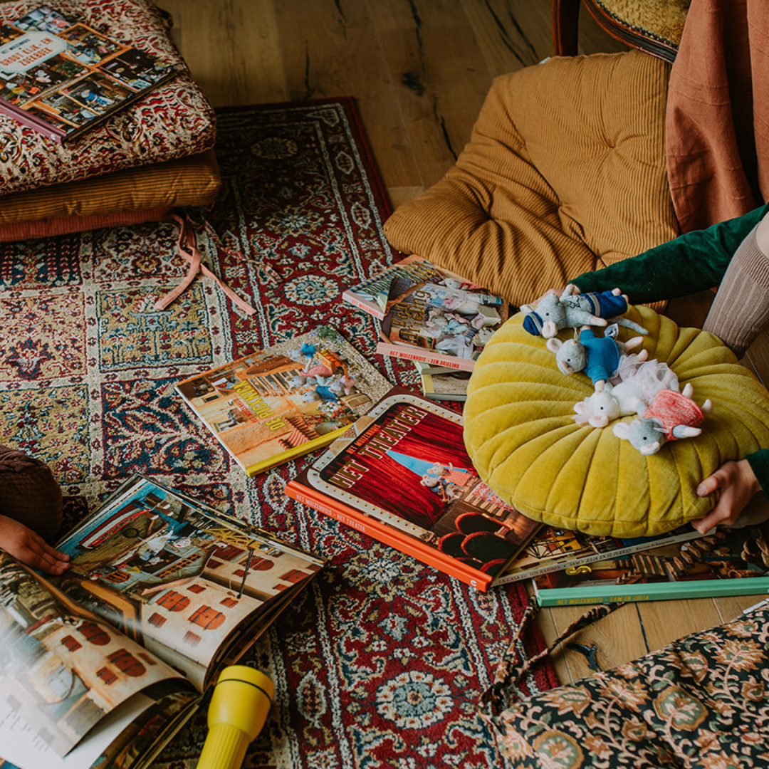 Coffret: Découvre la Maison des Souris