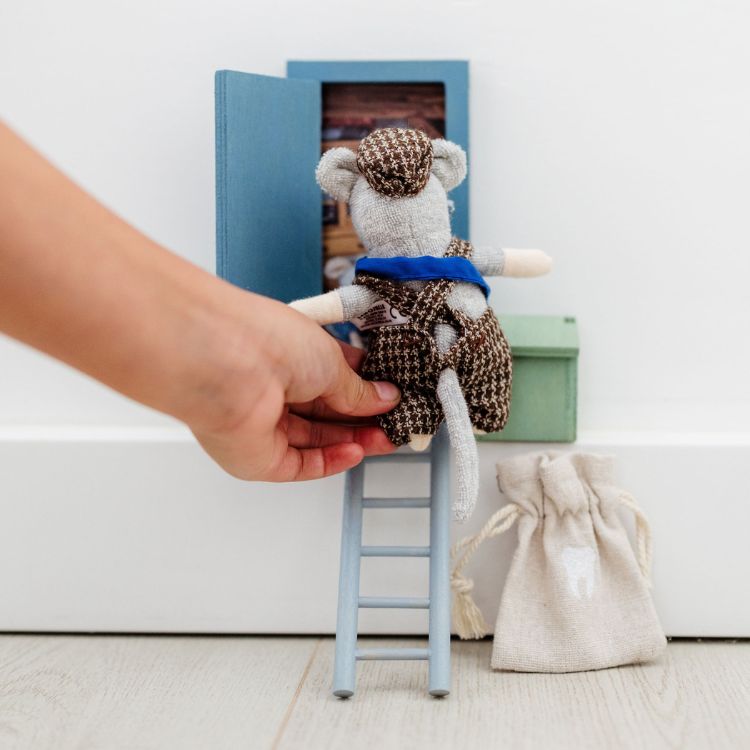 Tooth Mouse Giftset